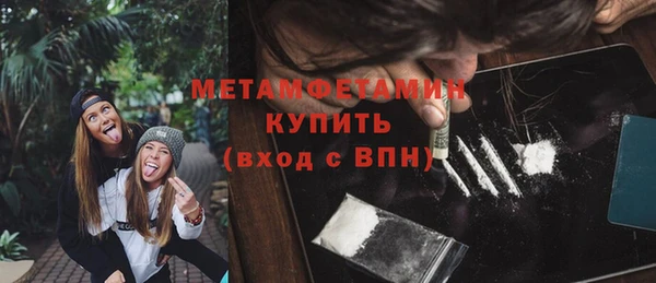 сатива Козловка
