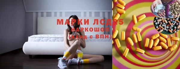 сатива Козловка