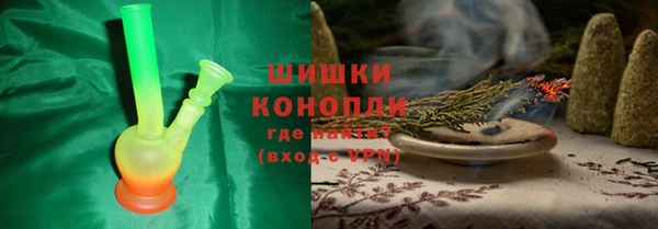 сатива Козловка