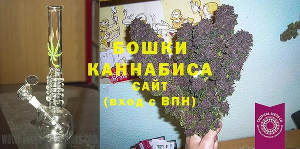 сатива Козловка