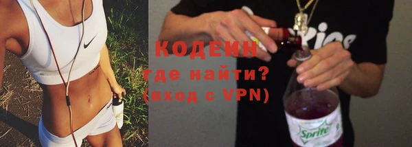 сатива Козловка