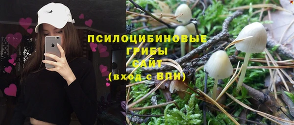 сатива Козловка