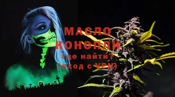сатива Козловка