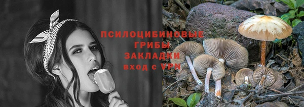 сатива Козловка