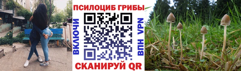 Галлюциногенные грибы мицелий  Навашино 