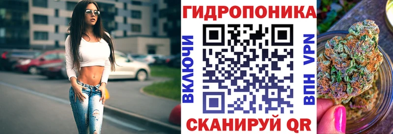 Шишки марихуана индика  купить закладку  Навашино 